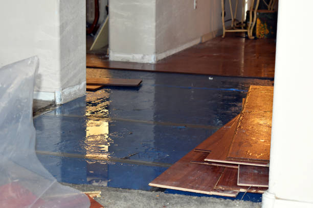 Professional Water Damage Restoration technician working in Crowley, TX